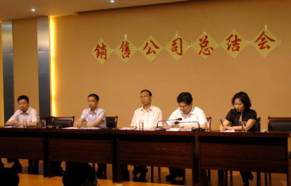 cq9电子官网入口召开销售公司上半年度总结会