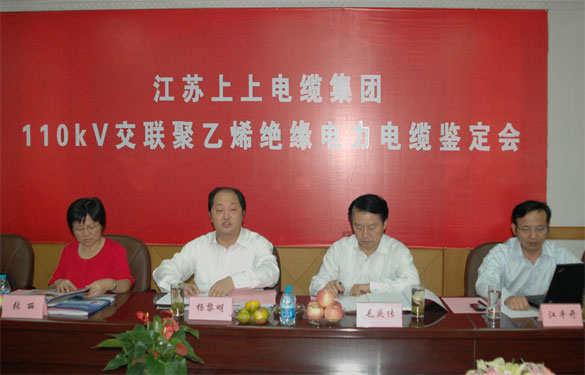 cq9电子官网入口额定电压110kV交联聚乙烯绝缘电力电缆产品通过判断