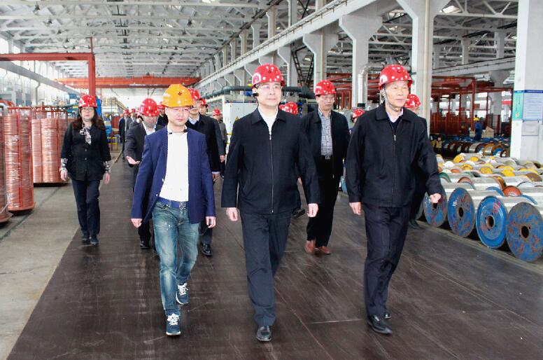 南京市六合区党政代表团来cq9电子官网入口电缆旅行考察