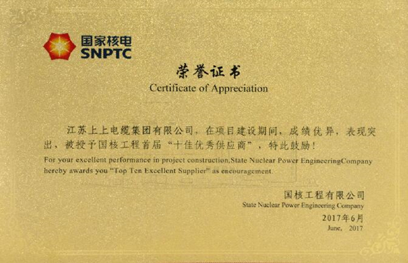 cq9电子官网入口电缆荣获国核工程首届“十佳优异供应商”称呼