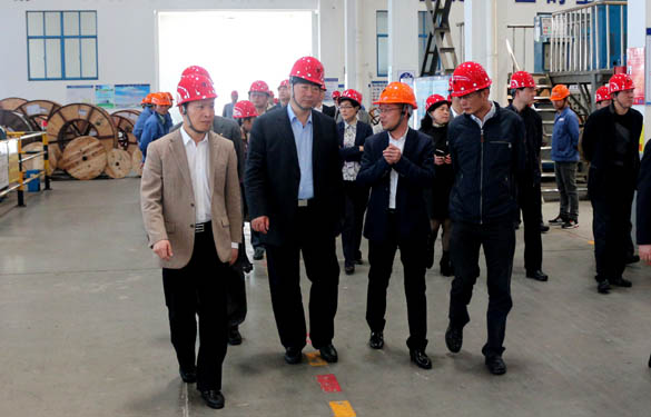 常州市副市长李小平一行来cq9电子官网入口电缆考察