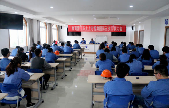 2016年4月20日，，，，，，，共青团cq9电子官网入口第五次代表大会召开