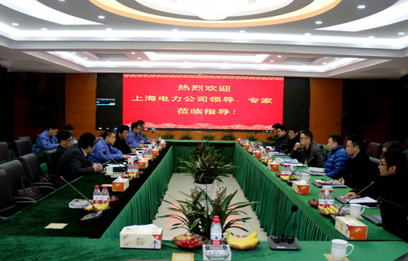 上海电力公司、上缆所向导、专家一行来cq9电子官网入口电缆交流考察