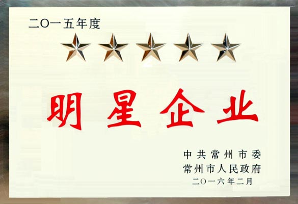 cq9电子官网入口电缆在常州市“重大项目推进年”发动大会上再次载誉而归