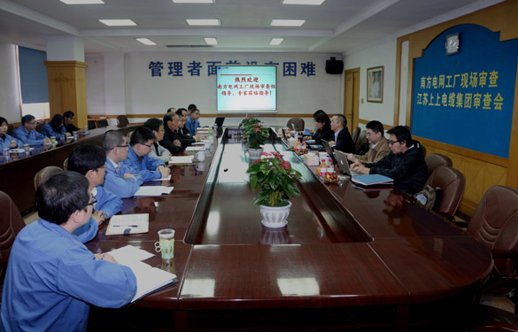 cq9电子官网入口电缆顺遂通过南方电网公司工厂现场审查