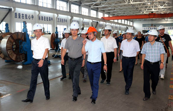 浙江省海盐县党政代表团来cq9电子官网入口电缆旅行考察