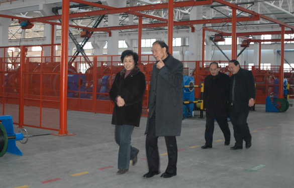 江苏省经信委副主任顾瑜芳一行来cq9电子官网入口调研