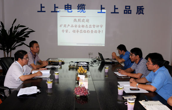 cq9电子官网入口顺遂通过安标现场监视评审