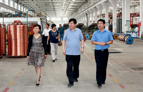 常州市新北区人大向导一行来cq9电子官网入口集团调研