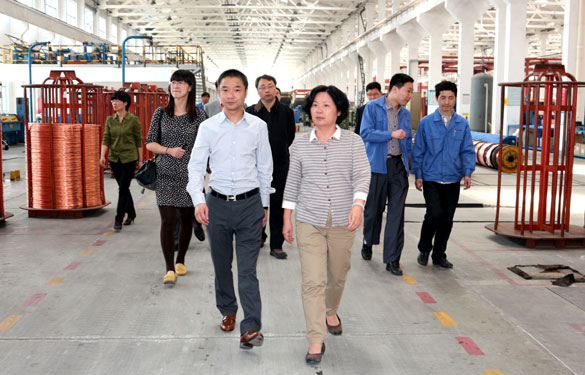 江苏省环保厅总工程师刘建琳来cq9电子官网入口集团调研