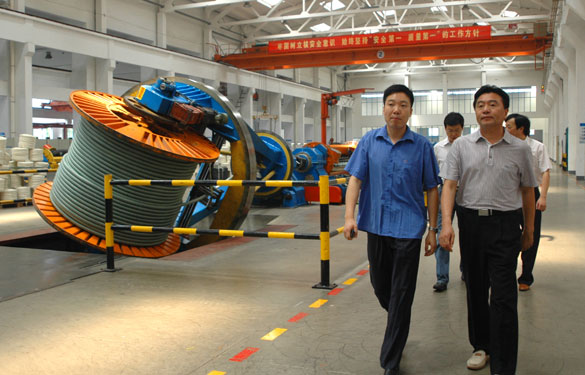 宝应县政协向导一行10余人来cq9电子官网入口集团旅行考察