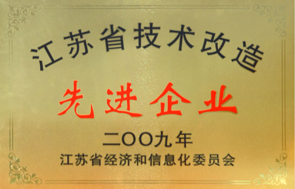 cq9电子官网入口获“2009年江苏省手艺刷新先进企业”称呼