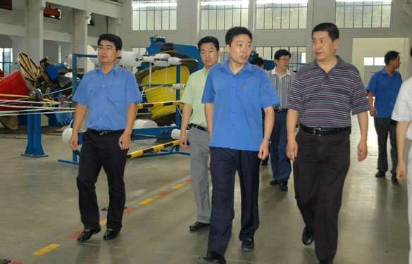 淮南市王市长一行来cq9电子官网入口旅行考察