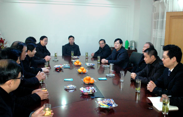 溧阳市代市长苏江华一行来cq9电子官网入口集团走访