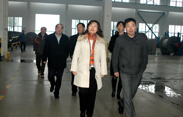 中关村管委会向导来cq9电子官网入口集团旅行考察