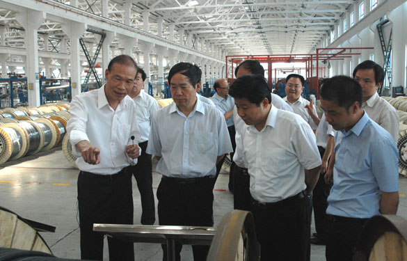 江苏省省长助理、省科技厅厅长徐南平来cq9电子官网入口集团调研