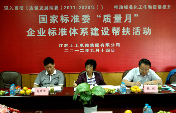 国标委“质量月”专家组到cq9电子官网入口检查指导事情