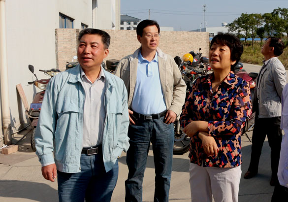 10月14日，，，，，，，，溧阳市向导来cq9电子官网入口电缆调研