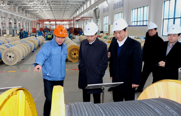 12月3日，，，，，，，，无锡市锡山区党政代表团一行来cq9电子官网入口电缆旅行考察