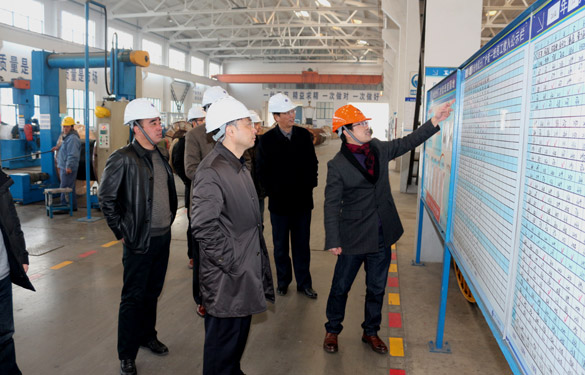 12月25日，，，，，，，，广德县政府考察团来cq9电子官网入口考察