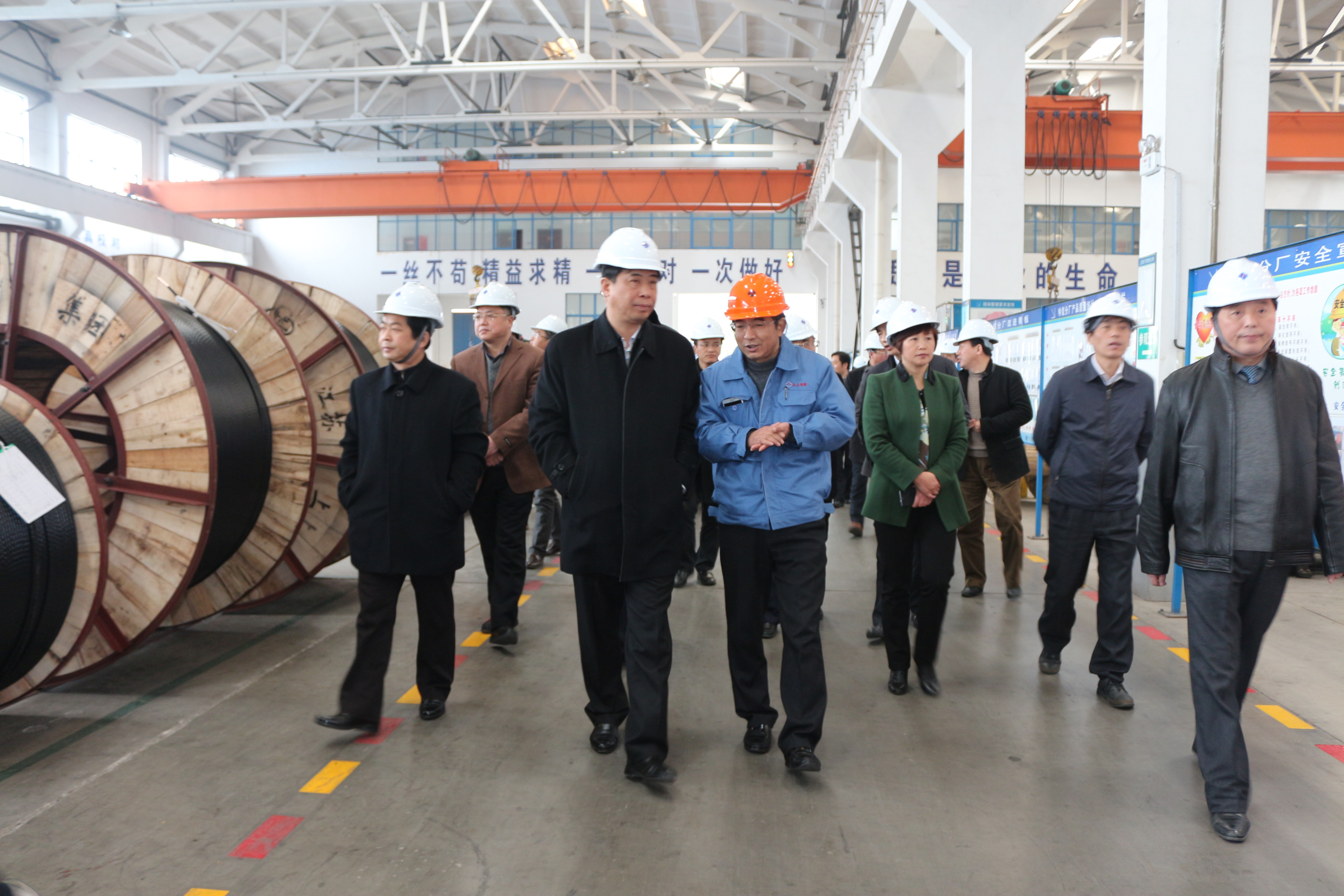 2015年3月11日，，，，，，，，安徽省和县党政代表团一行来cq9电子官网入口电缆考察