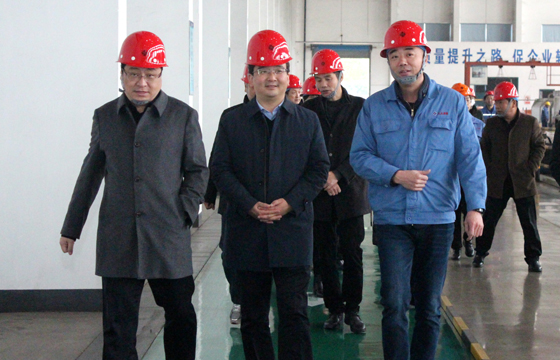 2020年12月8日，，，，，，，，广德市市委常委、常务副市长邱铁军一行来cq9电子官网入口电缆考察