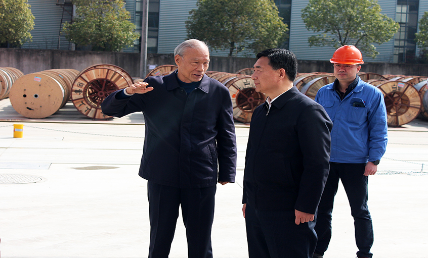 常州市人大常委会副主任盛建良来cq9电子官网入口电缆考察