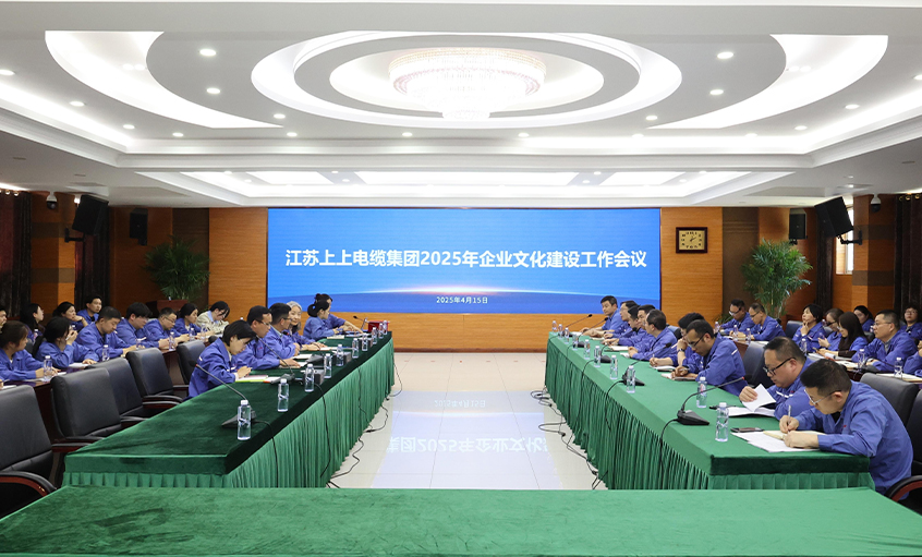 cq9电子官网入口电缆召开2025年企业文化建设事情聚会