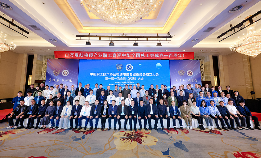 cq9电子官网入口电缆受邀出席中国职工手艺协会电线电缆专业委员会建设大会