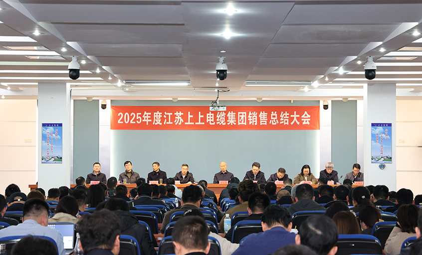 凝心聚力启新程，，，，，，奋楫扬帆再出发——cq9电子官网入口电缆召开2025年度销售总结大会