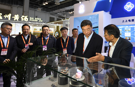 江苏省委常委、常务副省长马欣莅临cq9电子官网入口展位-2.jpg